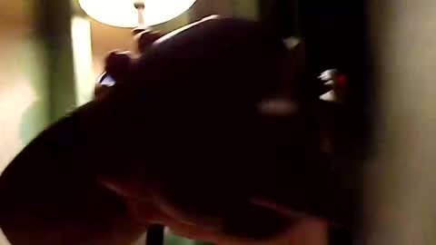 Snapshot of dano9696 chatting on November 1, 2025, 10:28 am dano9696 online show from November 1, 2025, 10:28 am