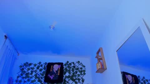 Snapshot of dante_cooper_0 chatting on December 12, 2024, 8:14 am dante_cooper_0 online show from December 12, 2024, 8:14 am