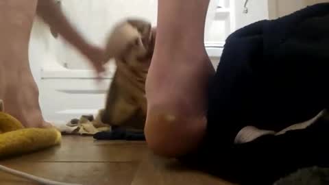 danydevil online show from November 25, 2025, 4:56 am