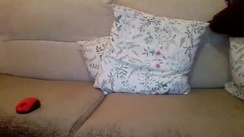 Snapshot of danydotado chatting on December 21, 2024, 7:38 pm danydotado online show from December 21, 2024, 7:38 pm