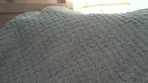 dapppper online show from September 24, 2025, 2:20 pm