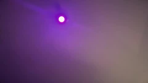 daquim online show from November 12, 2025, 11:14 pm