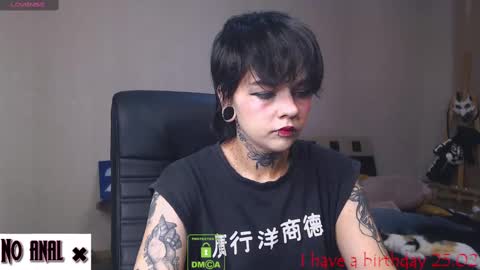 Snapshot of dark__elf chatting on February 9, 2025, 9:49 pm Anessa online show from February 9, 2025, 9:49 pm