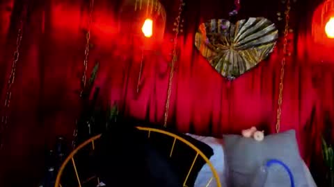 dark hunter  online show from February 20, 2026, 6:26 am