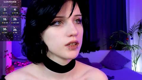 Vamp  online show from December 26, 2024, 12:03 am