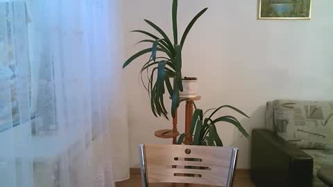 Dario online show from December 1, 2025, 11:15 am