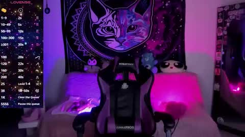 Snapshot of daryimiau chatting on September 17, 2025, 8:49 am daryimiau online show from September 17, 2025, 8:49 am