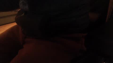 davdao3 online show from December 20, 2024, 10:38 am