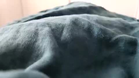 davdao3 online show from February 16, 2025, 1:27 pm