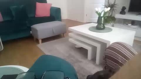 davf76 online show from April 20, 2026, 7:33 am