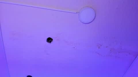 dayana_harlow2 online show from January 15, 2025, 10:13 pm