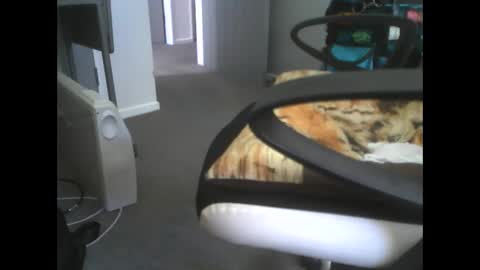 Dazzle68 online show from March 14, 2026, 10:48 pm