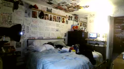 dbeamon92 online show from March 8, 2026, 2:04 am