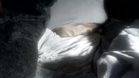 ddick0303 online show from April 12, 2026, 5:40 pm