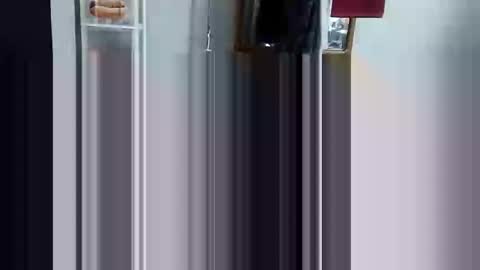 decoyx5o5 online show from March 3, 2025, 6:33 pm