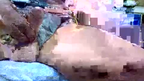 Dive Deep online show from January 19, 2026, 12:14 am