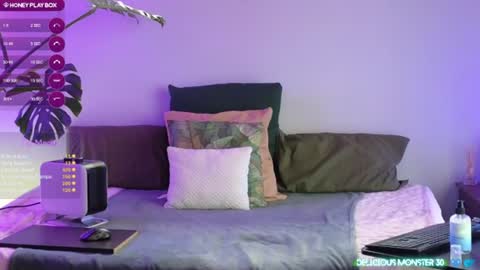 Kitty online show from July 27, 2026, 6:42 am