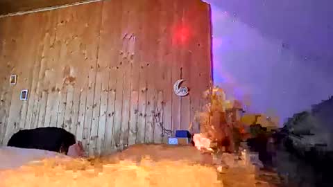 den2807 online show from March 18, 2026, 12:30 pm