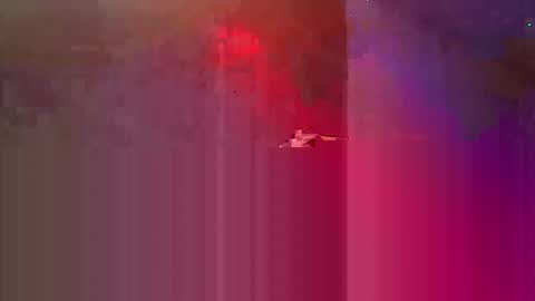 den2807 online show from May 3, 2026, 10:49 pm