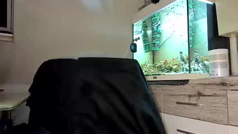 Denise and Brad online show from April 18, 2026, 7:58 pm