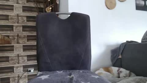 despotar123 online show from October 7, 2025, 11:18 am