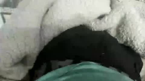 Snapshot of destrosandotelculo chatting on November 28, 2025, 12:02 am destrosandotelculo online show from November 28, 2025, 12:02 am