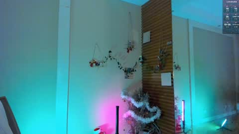 Devil online show from December 29, 2024, 3:11 am