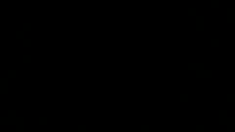 dexcarter81 online show from March 2, 2025, 12:32 pm