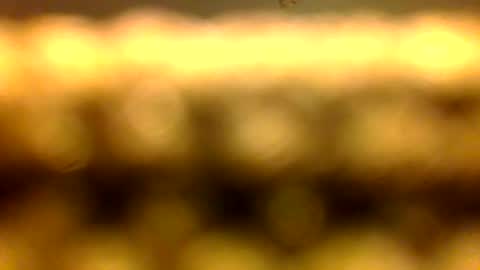 Marcus D-von Steel as the raunchy ass sniffer thrill me with your online show from April 11, 2026, 10:41 am