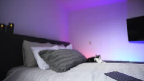 Diego online show from November 26, 2025, 8:54 pm