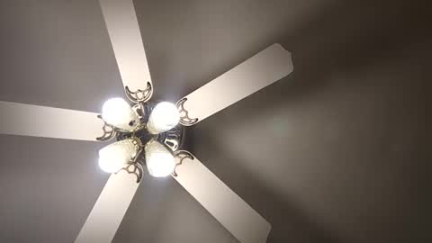 diamonde_steele online show from December 12, 2024, 1:53 am