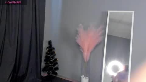 Dianne online show from January 30, 2025, 9:36 am