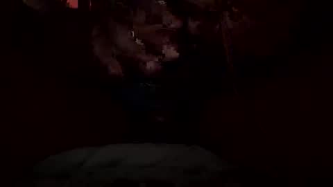 Snapshot of dickdynamics chatting on January 13, 2026, 6:40 am dickdynamics online show from January 13, 2026, 6:40 am