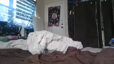 Snapshot of dickemda chatting on May 5, 2026, 2:47 pm dickemda online show from May 5, 2026, 2:47 pm
