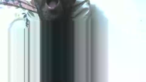 Snapshot of dickruss0070003 chatting on January 9, 2026, 5:37 pm dick rus online show from January 9, 2026, 5:37 pm