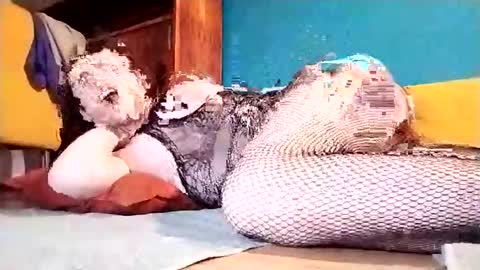 Snapshot of dickycumalotofficial chatting on March 1, 2025, 7:15 pm Dicky online show from March 1, 2025, 7:15 pm