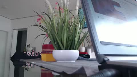 Snapshot of didiegal1 chatting on May 14, 2026, 8:10 am squirtcock online show from May 14, 2026, 8:10 am