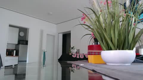 Snapshot of didiegal1 chatting on May 17, 2026, 11:28 am squirtcock online show from May 17, 2026, 11:28 am
