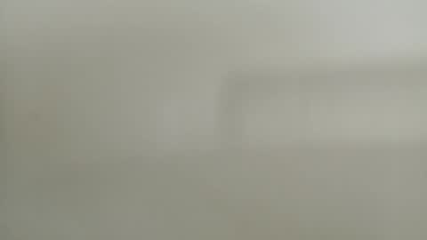 Diego online show from December 21, 2024, 5:29 pm