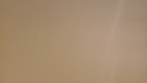 Diego online show from February 16, 2025, 11:38 am