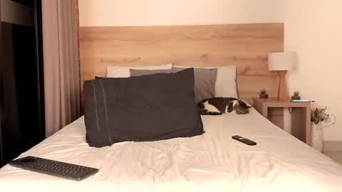 Dilarahkesh  online show from February 16, 2025, 7:15 am