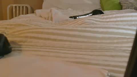 dildosnme22 online show from February 9, 2026, 11:14 am