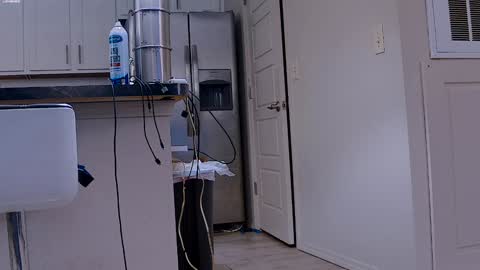 Dilldough405 online show from January 29, 2025, 6:07 pm