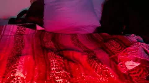 dino9999999 online show from February 27, 2026, 1:05 am