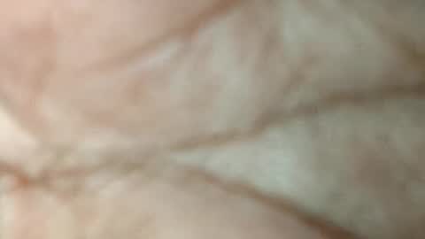 Snapshot of dino_7711 chatting on November 17, 2025, 5:52 pm dyno online show from November 17, 2025, 5:52 pm