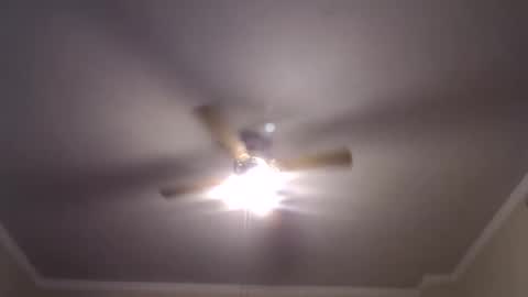 Your Best Worst Nightmare online show from February 1, 2025, 7:26 am