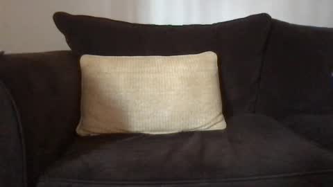 Dizzydig online show from January 25, 2025, 5:08 pm