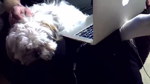 DKdad online show from December 4, 2025, 3:43 pm