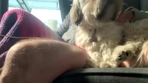 DKdad online show from December 15, 2025, 9:13 am