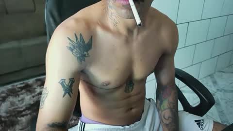 Snapshot of dmacedo96 chatting on December 6, 2024, 12:49 pm AmigodotadoZL online show from December 6, 2024, 12:49 pm